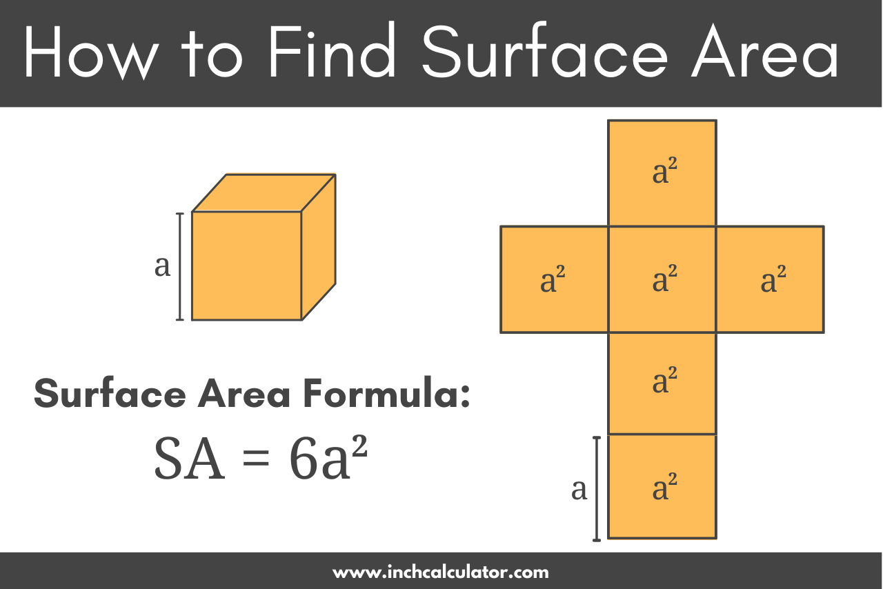 Smart Ways to Find the Surface Area of Your Objects in 2025!