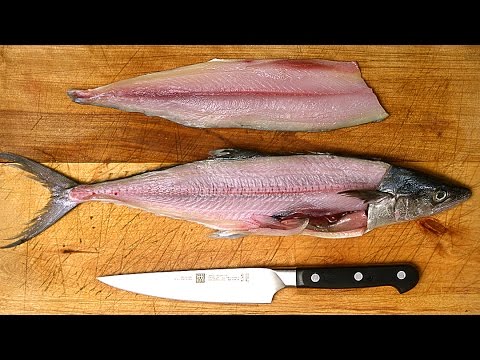 How to Properly Fillet a Fish: Essential Tips for Success in 2025