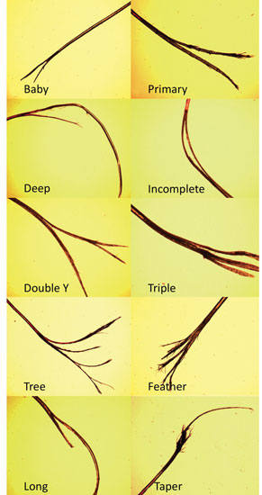 How to Properly Fix Split Ends and Restore Your Hair’s Health in 2025